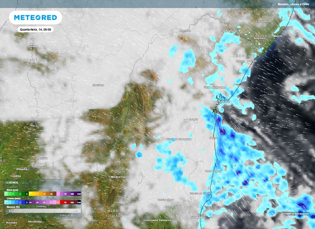 Nebulosidade e chuva prevista para a manhã de quarta-feira (14), segundo o modelo ECMWF. Nebulosidade e chuva prevista para a manhã de quarta-feira (14), segundo o modelo ECMWF.
