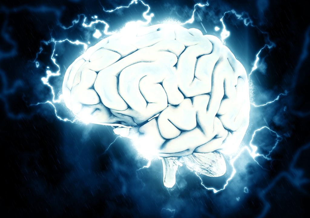 Cerebro Cerebro