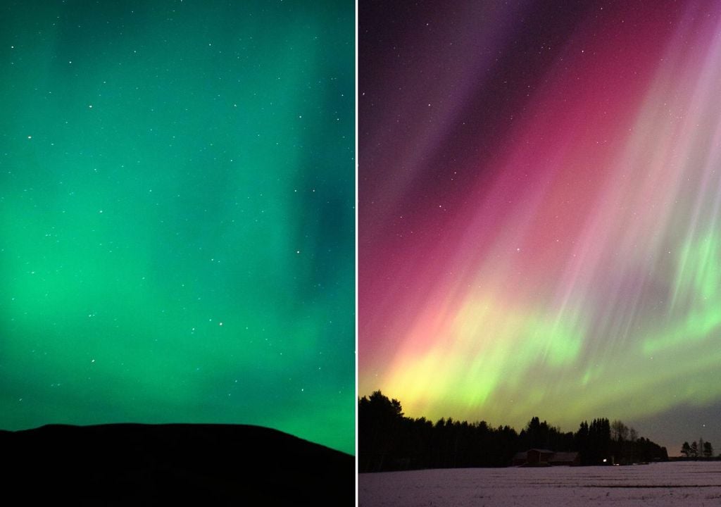 auroras polares
