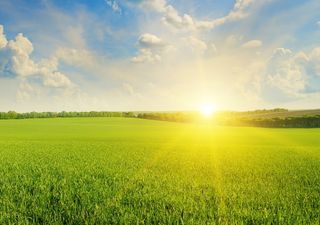 Ausencia de sistemas tropicales en México: ¿es la causa de la escasez de lluvias en México?