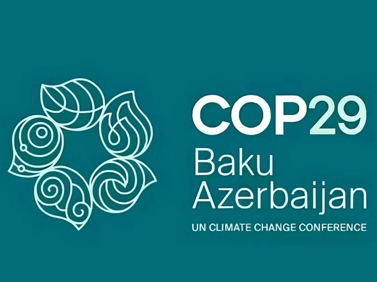 Die COP 29 in Baku ging heute Nacht zu Ende!