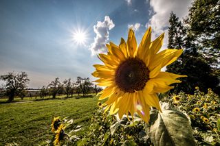 Erst Gruselwetter mit Hochwasser, ab September tolles Spätsommerwetter