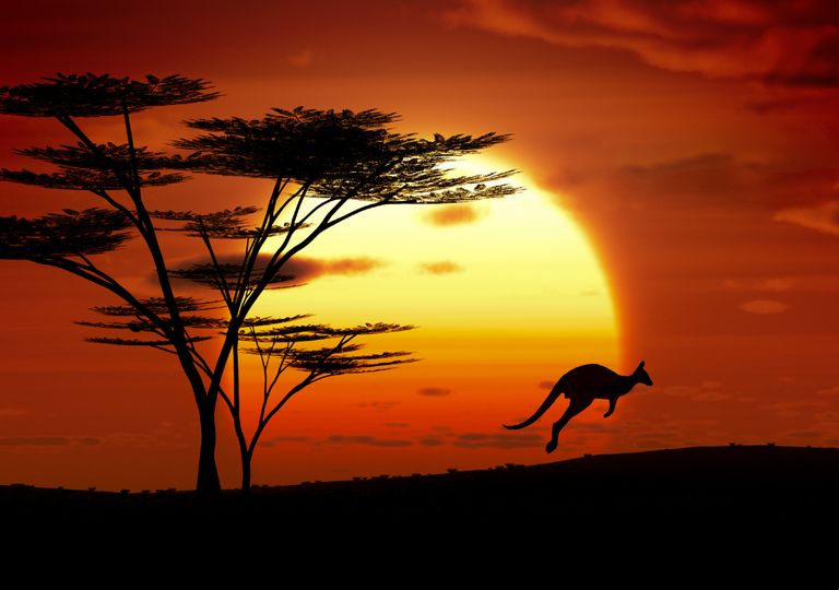 2020 ano quente na Austrália 2020 ano quente na Austrália