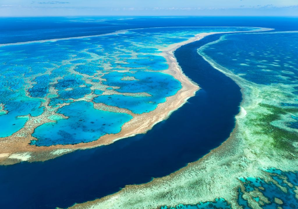 Australia's Great Barrier Reef should be on 'in danger' list, says UN panel