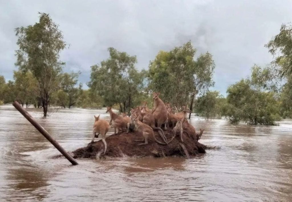 Inundações Austrália