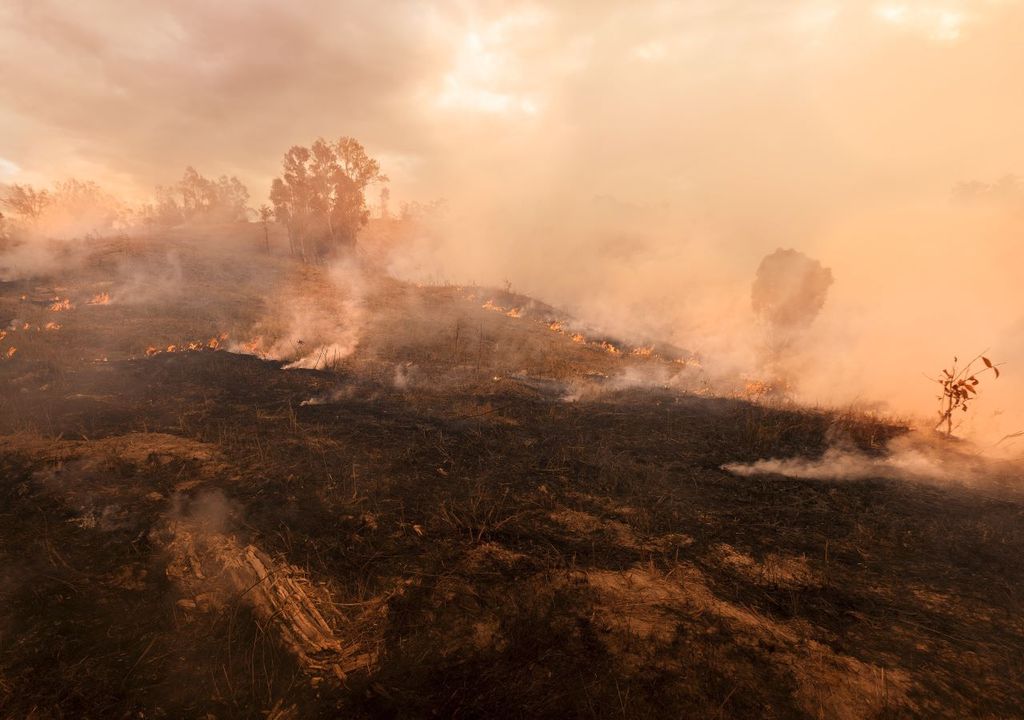 Australia's fires are expected to add to atmospheric CO2