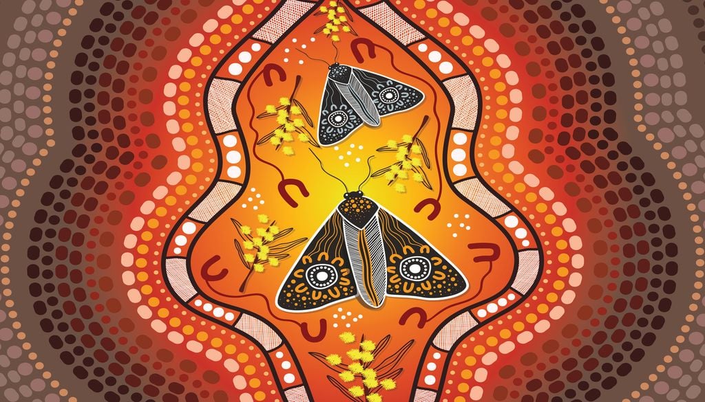 Papillon ancestral, le Bogong est même représenté sur les peintures d'artistes aborigènes d'Australie. Papillon ancestral, le Bogong est même représenté sur les peintures d'artistes aborigènes d'Australie.