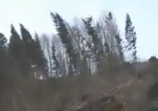 Austria, il vento è fortissimo e devasta la foresta: i video