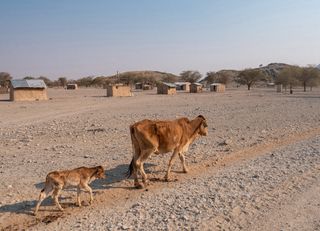 Auswirkungen der Klima-Ungerechtigkeit am Horn von Afrika!