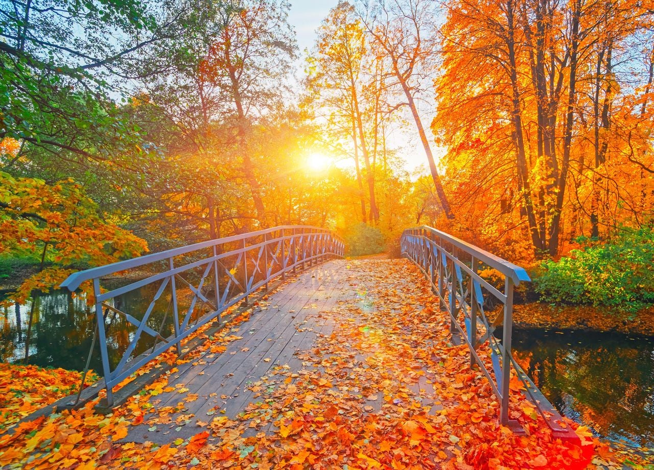 Autumn in Portrait Mode: The Most Photogenic Landscapes of November