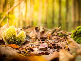 Autumn weather is here