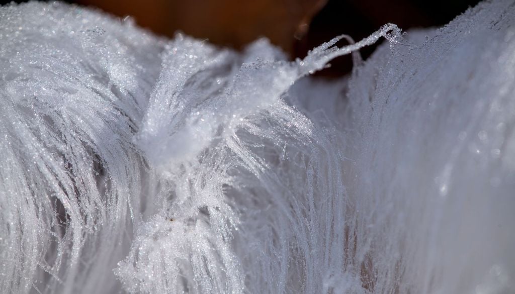 I capelli di ghiaccio, filamenti così sottili da somigliare a peli di animali o capelli umani