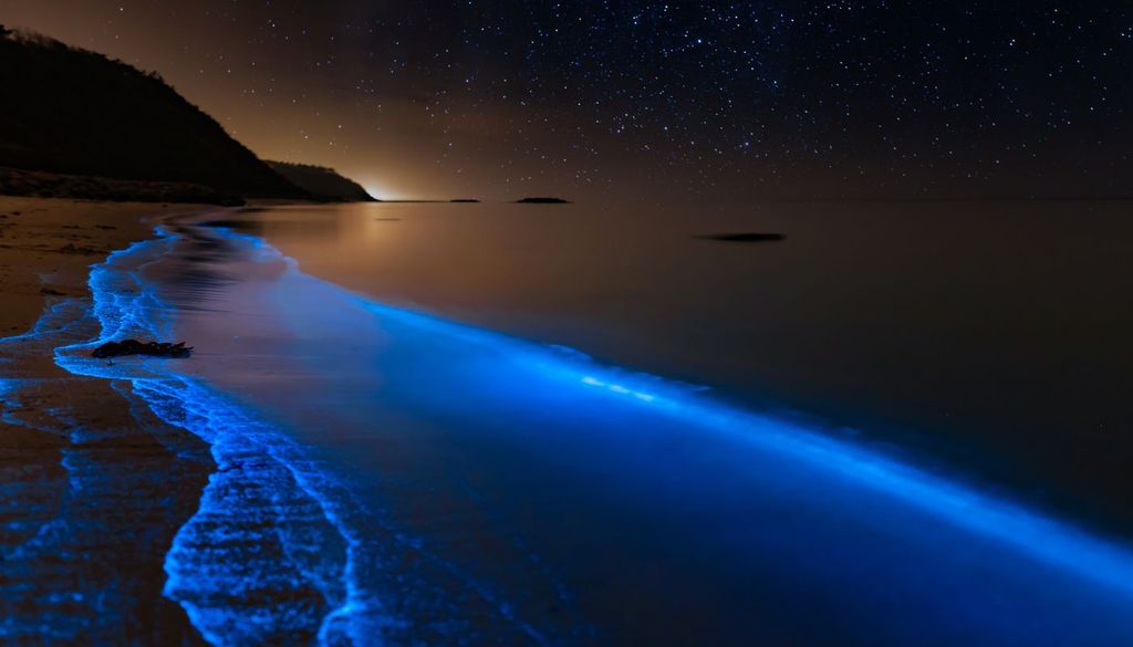 Il fenomeno della bioluminescenza su una spiaggia in Danimarca