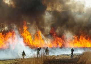 Avance del gran incendio en Valparaíso: consumidas ya más 4.000 ha