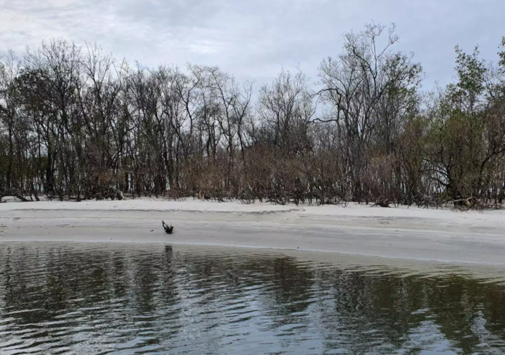 Comunidades tradicionais sofreram com avanço do mar que apagou enseada no Vale do Ribeira Comunidades tradicionais sofreram com avanço do mar que apagou enseada no Vale do Ribeira