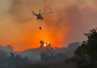 Incendios forestales se están extendiendo en México: las autoridades están en alerta