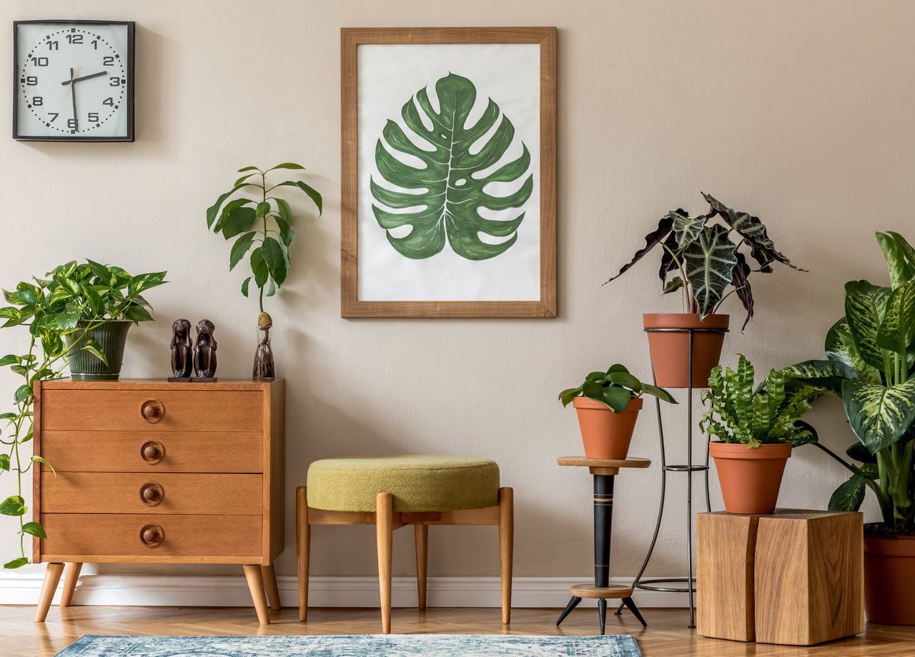 Les bienfaits des plantes dans votre foyer sont nombreux et changent en fonction de la variété des plantes choisies.