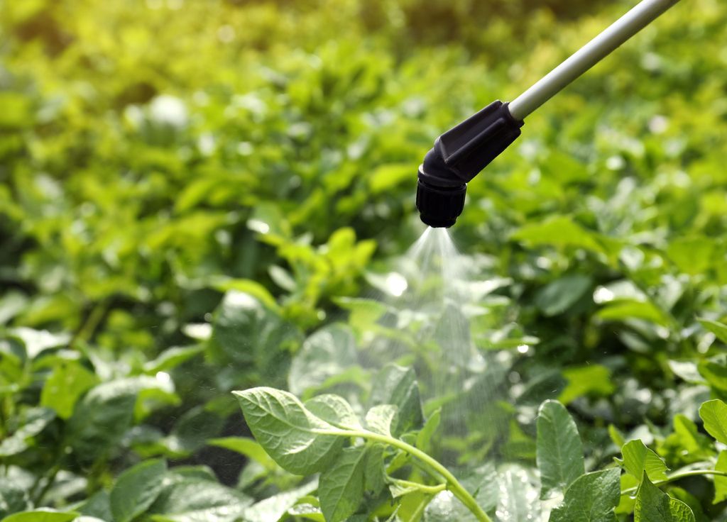 Le pulvérisateur permettra d'appliquer aisément votre préparation naturelle. Le pulvérisateur permettra d'appliquer aisément votre préparation naturelle.