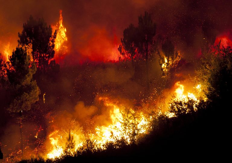 Incendies Incendies
