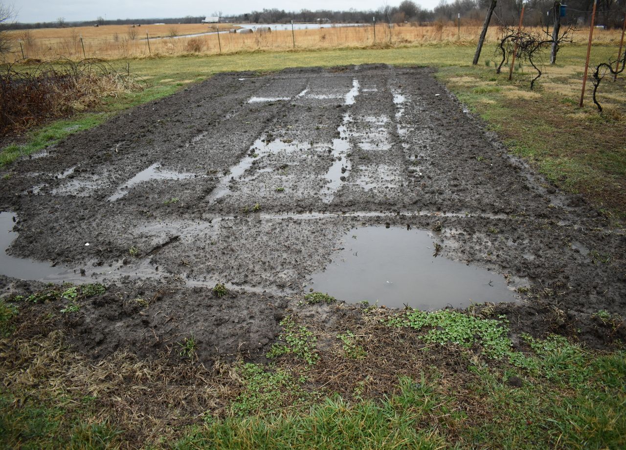 Avec toute cette pluie en France, que peuton faire au jardin