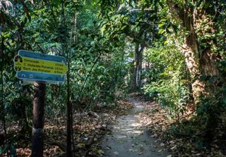 Aventuras ao ar livre no Rio de Janeiro: trilhas sombreadas para fugir do calorão