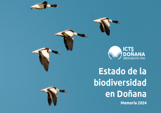 Registran un nuevo mínimo histórico de aves acuáticas invernantes en el Espacio Natural de Doñana, Huelva, España