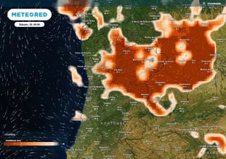 Aviso laranja para nevoeiro persistente em 4 distritos e descida das temperaturas: saiba quais as zonas mais afetadas