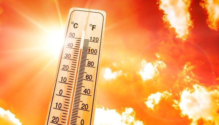 Avviso di ECMWF per agosto: le sue mappe inseriscono l'Italia in una nuova ondata di calore a grande scala