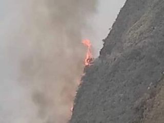 Presencia de lluvia, esperanza que ayuda a sofocar la amenaza de incendios forestales en Sudamérica