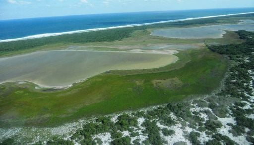 Bact&eacute;rias de laguna no Rio de Janeiro ajudam cientistas a descobrir se h&aacute; vida em Marte; entenda