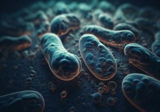 Bactérias encontradas em águas termais podem estar relacionadas com as primeiras mitocôndrias