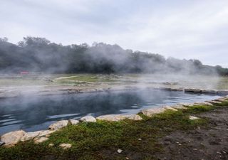 Bacteria found in hot springs could be related to the first mitochondria