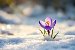 Alle Wetter für Baden-Württemberg: Von Schnee und frostigen Nächten zu Warmluft, Saharastaub und Sommergewittern