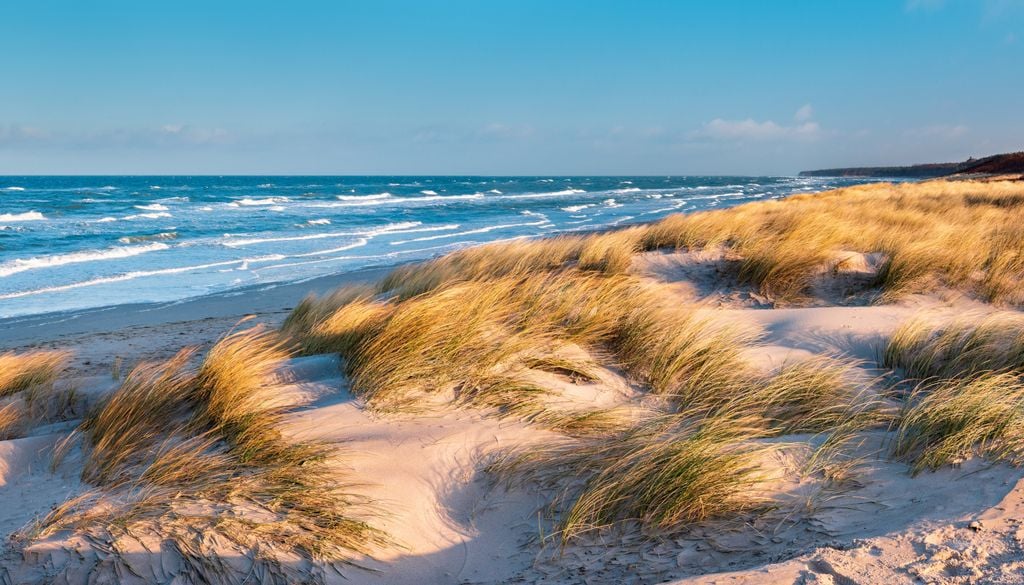 Die Ostsee leidet bereits seit mehreren Jahren stark unten der Klimaerwärmung