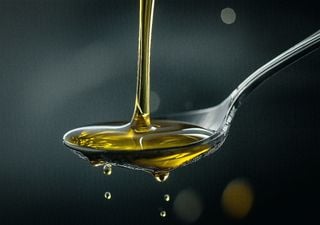 Bagaço de azeitona já não é um resíduo, mas sim um trunfo na agricultura