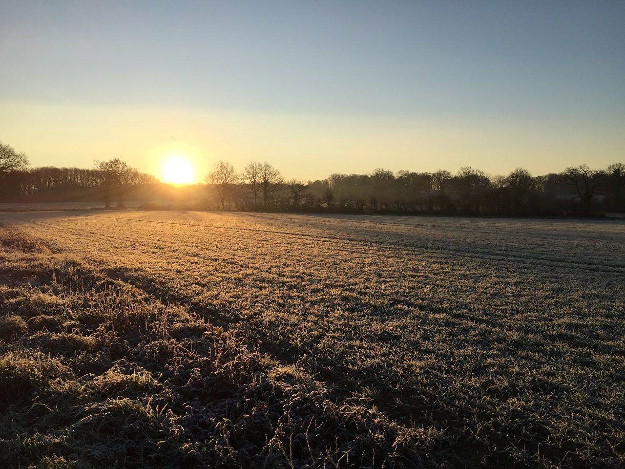 Les premières gelées blanches de la saison pourraient être observées mercredi et jeudi dans les campagnes du nord et du nord-est.