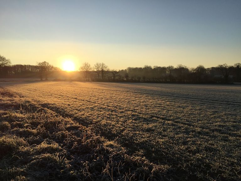 Baisse des températures : vers une fraîcheur marquée le matin ! Baisse des températures : vers une fraîcheur marquée le matin !