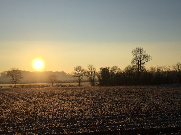 Après des journées de jeudi et vendredi plutôt maussades, le soleil sera de retour ce week-end mais dans une atmosphère bien plus hivernale... Après des journées de jeudi et vendredi plutôt maussades, le soleil sera de retour ce week-end mais dans une atmosphère bien plus hivernale...