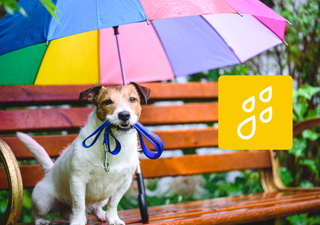 "La segunda baja segregada cruzará más al sur": 9 regiones de Chile tendrán precipitaciones este fin de semana