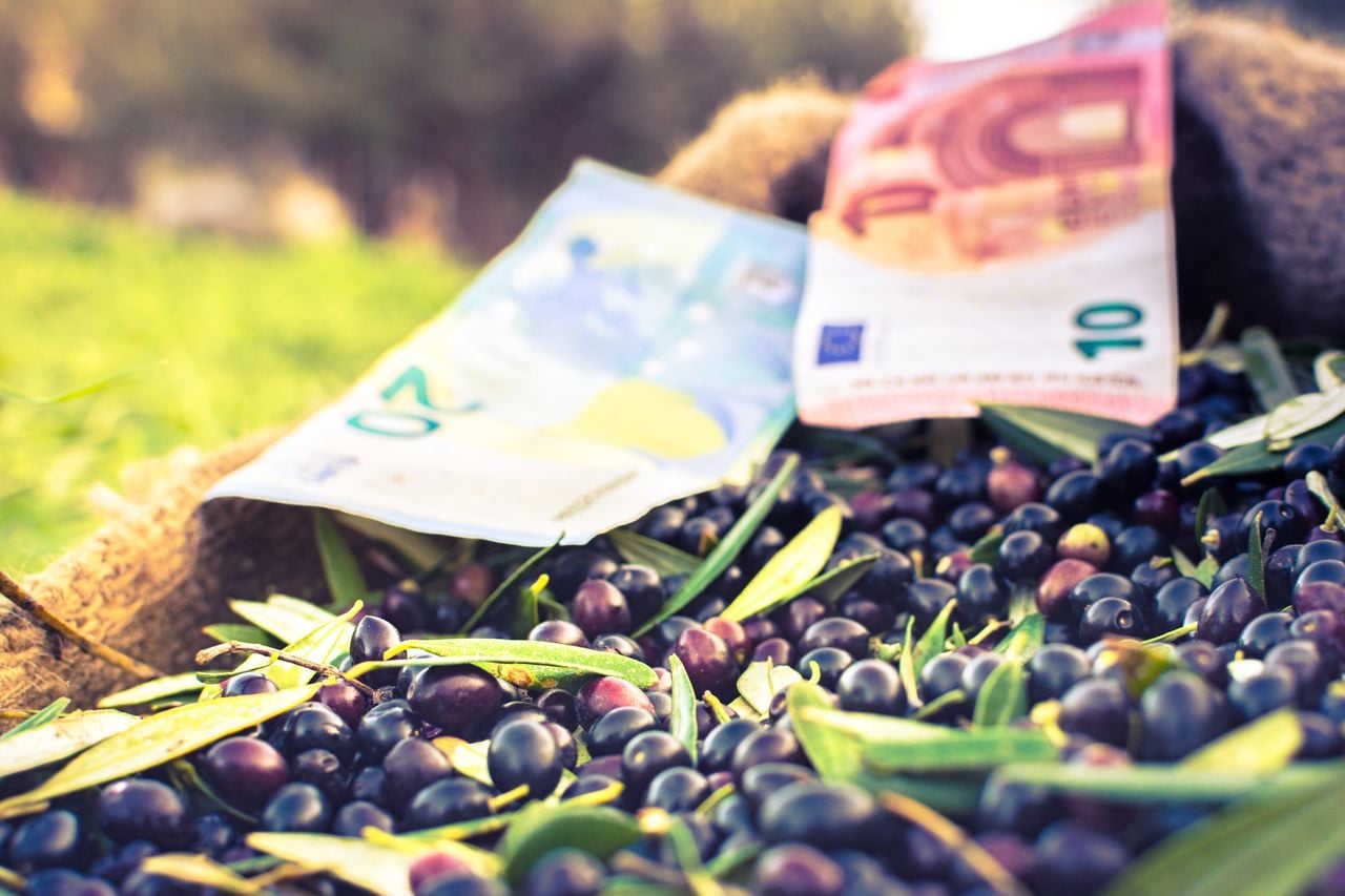 Se prevé que para fin de año el precio del aceite de oliva baje algunos euros, según los expertos.