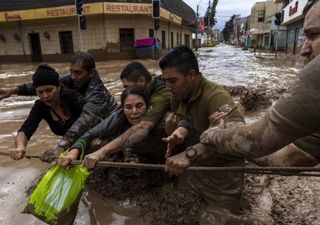 Bajas segregadas: las protagonistas de la primavera