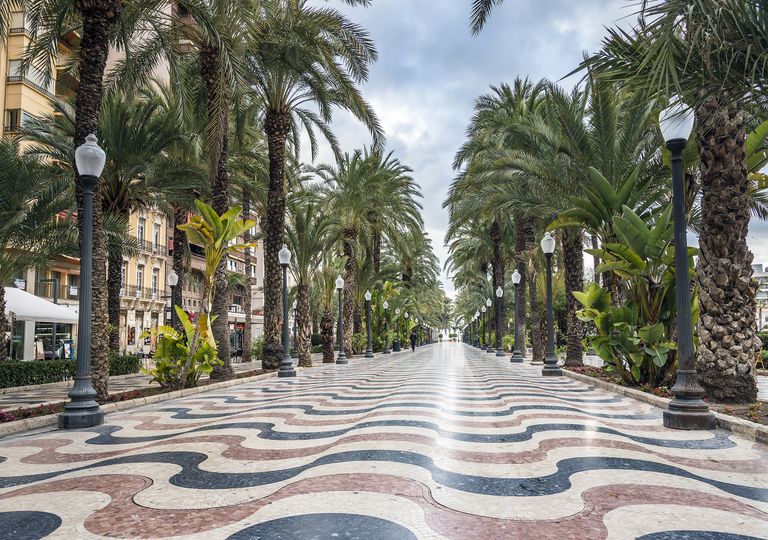 Paseo de las Palmeras, en Alicante, donde se ha batido el valor absoluto de temperatura máxima más alta y el de mínima más alta Paseo de las Palmeras, en Alicante, donde se ha batido el valor absoluto de temperatura máxima más alta y el de mínima más alta
