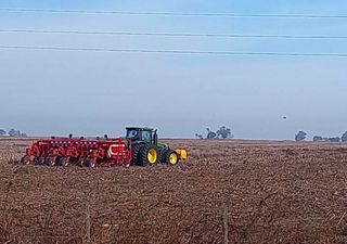 Balance de la campaña agrícola en Argentina: rindes que cumplen, siembras que se frenan y clima que manda