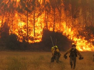 Balance de los incendios forestales 2020 en España