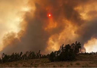 Balance SENAPRED por incendios forestales en Chile: 4 alertas roja y 3 amarillas entre Valparaíso y Aysén