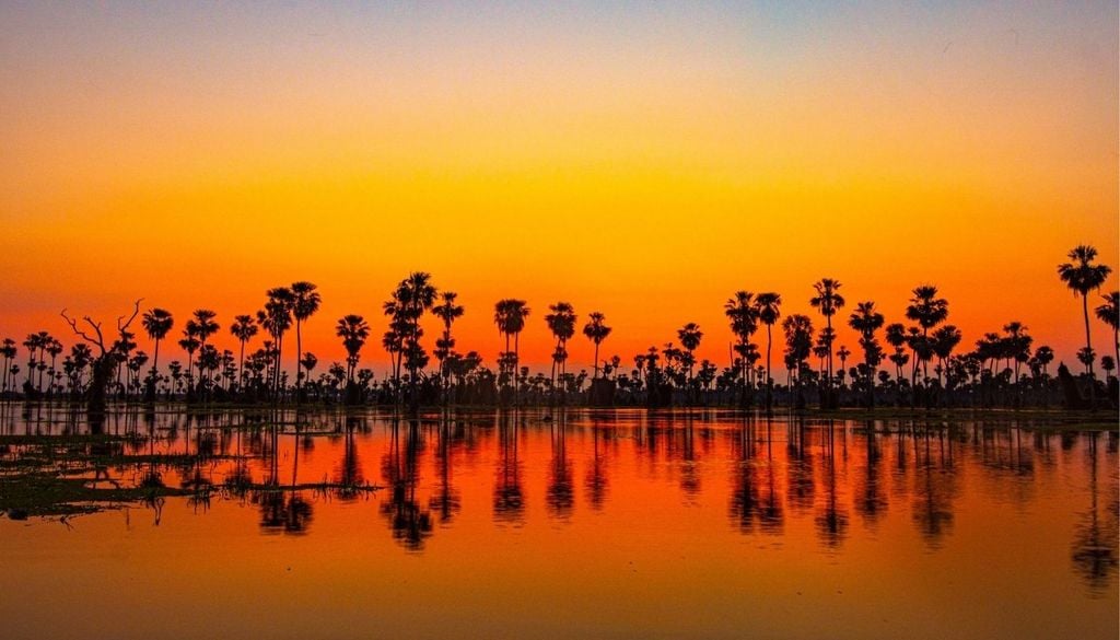 Atardecer en Bañado La Estrella Atardecer en Bañado La Estrella