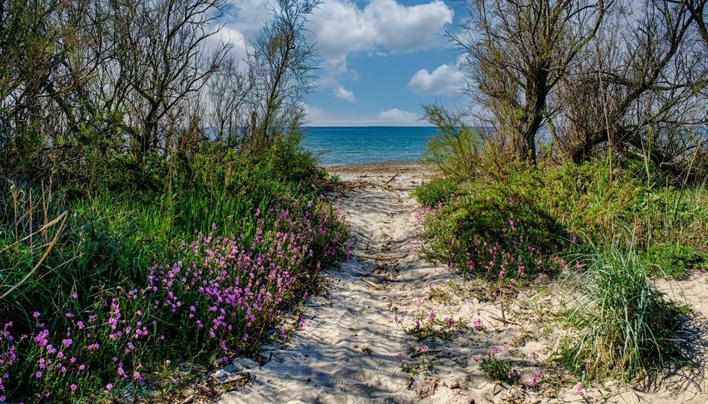 Bandiera Blu 2026 - Toscana Il Parco Naturale della Sterpaia a Riotorto, in Toscana