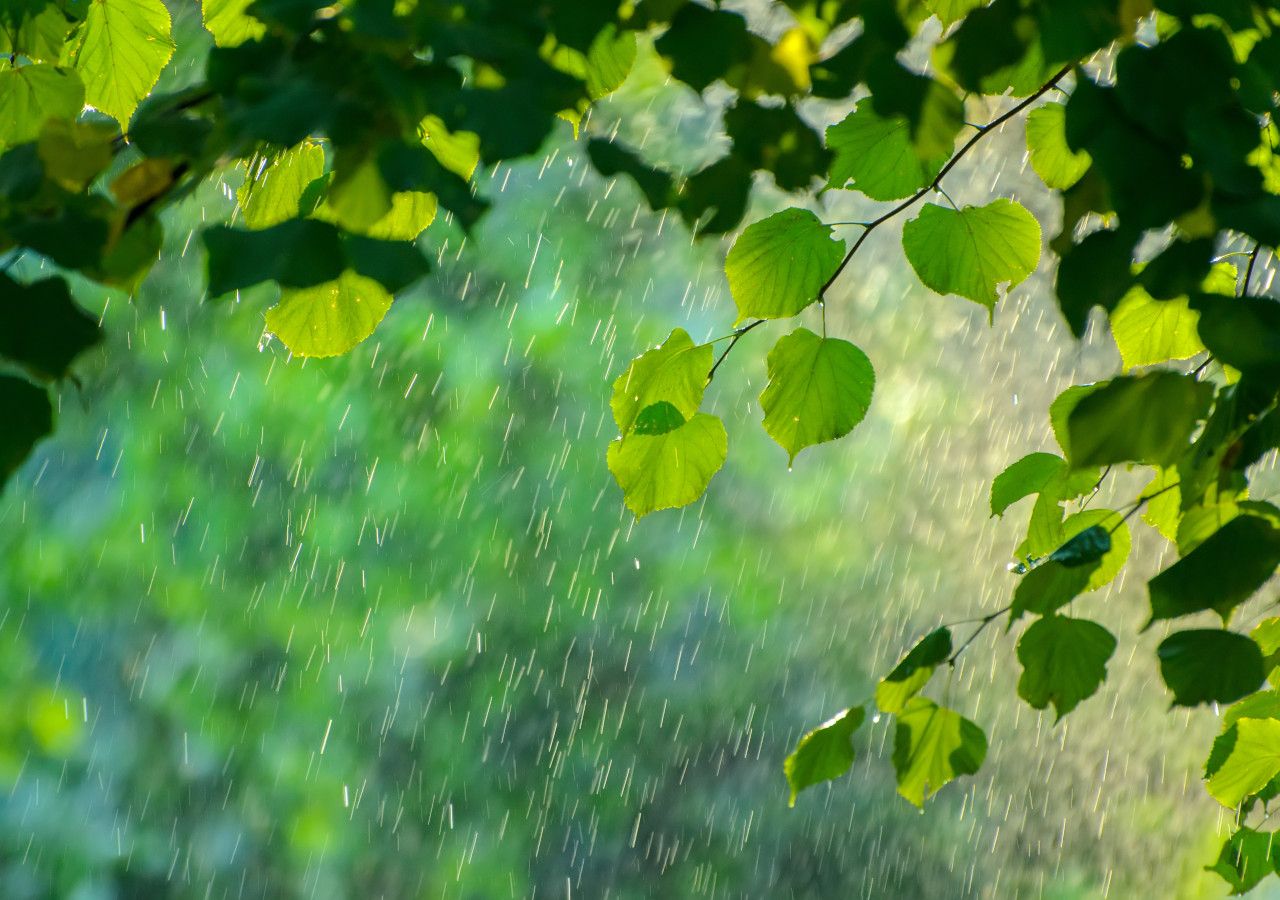 The Weather This Weekend In The Uk: Met Office Warns Of Thundery Showers