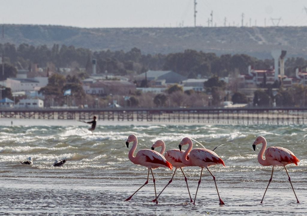 10 mejores playas para un verano en Argentina 2024