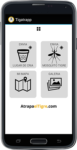 Barcelona controlará al mosquito tigre con una aplicación móvil